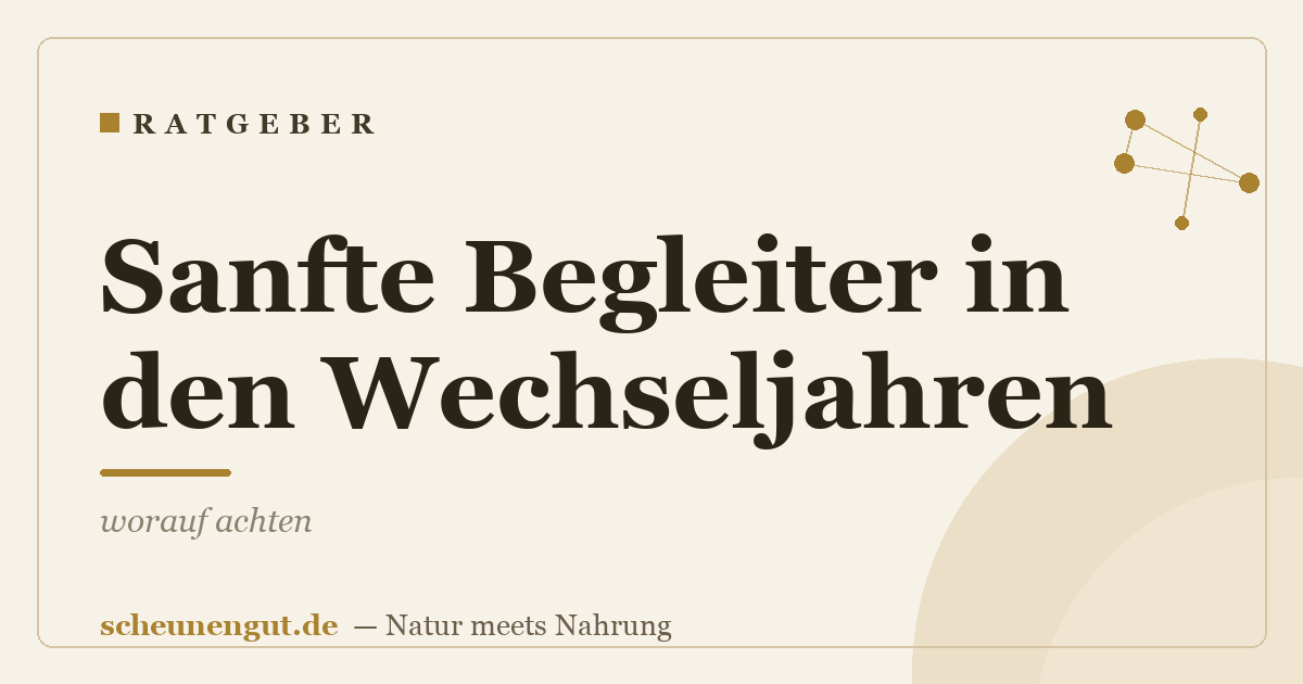 Sanfte Begleiter in den Wechseljahren: worauf achten