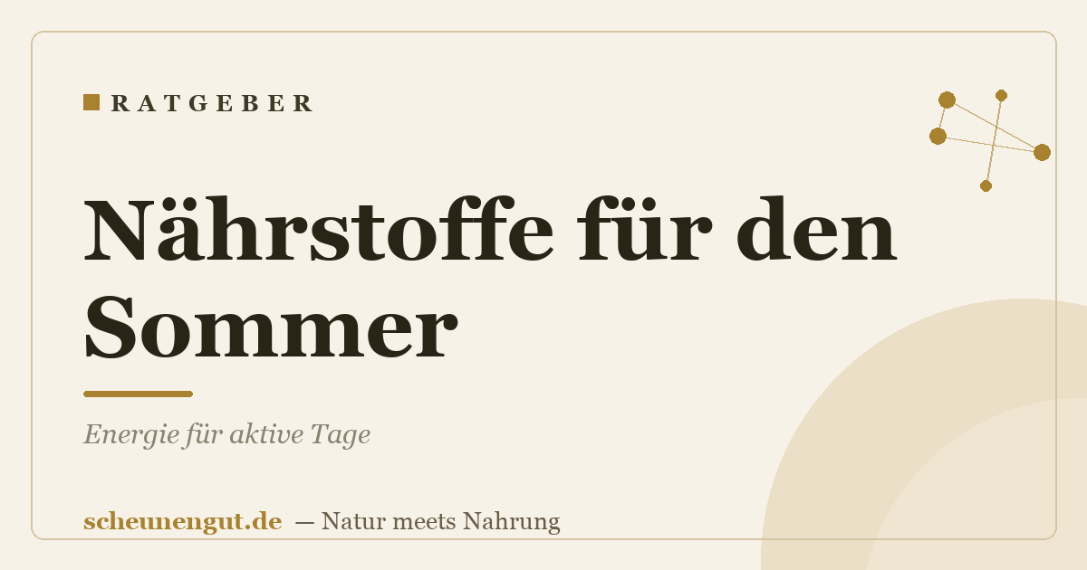 Nährstoffe für den Sommer: Energie für aktive Tage