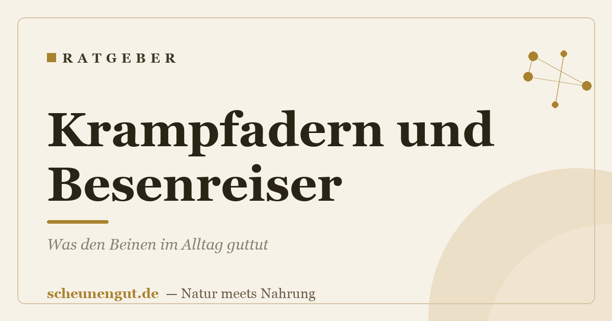 Krampfadern und Besenreiser: Was den Beinen im Alltag guttut