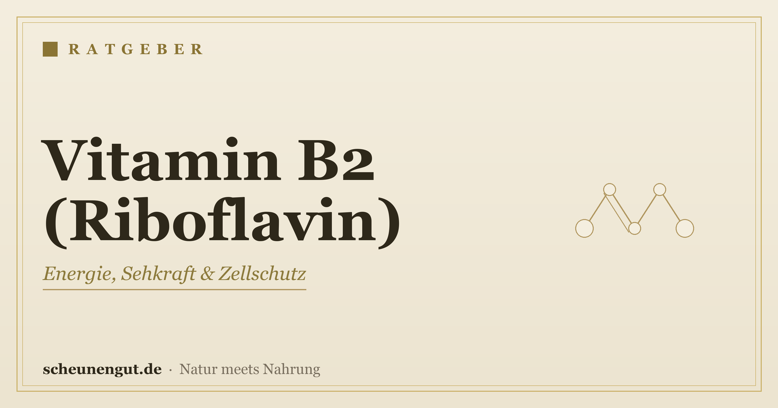 Vitamin B2 (Riboflavin): Wirkung & Bedarf – Ratgeber von Scheunengut