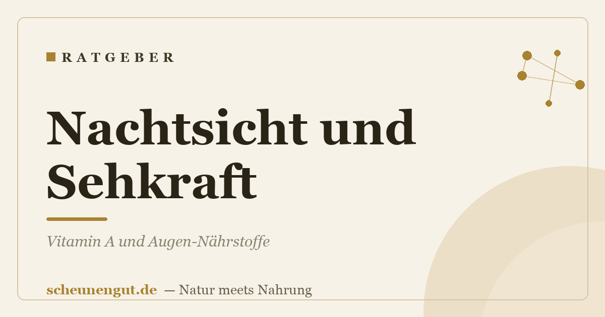 Nachtsicht und Sehkraft: Vitamin A und Augen-Nährstoffe