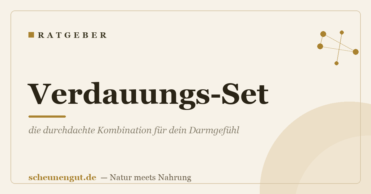 Verdauungs-Set: die durchdachte Kombination für dein Darmgefühl