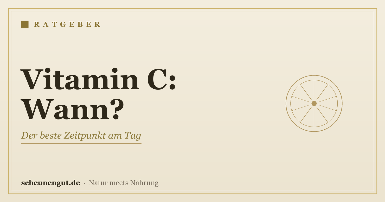 Vitamin C: Wann am besten einnehmen? – Ratgeber von Scheunengut