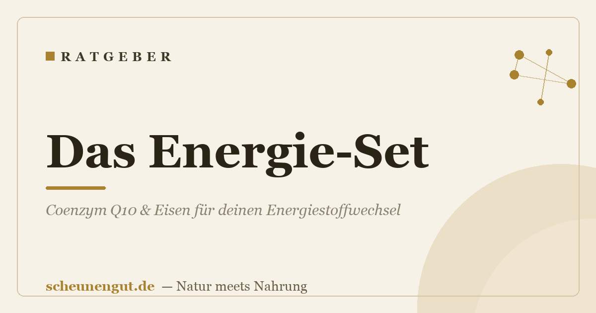 Das Energie-Set: Coenzym Q10 & Eisen für deinen Energiestoffwechsel