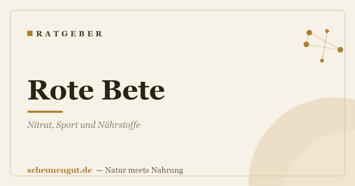 Rote Bete: Nitrat, Sport und Nährstoffe