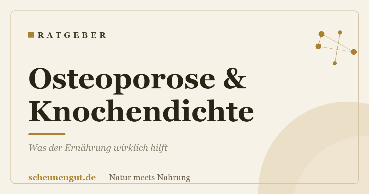Osteoporose & Knochendichte: Was der Ernährung wirklich hilft