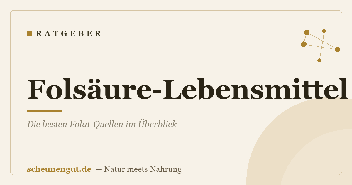 Folsäure-Lebensmittel: Die besten Folat-Quellen im Überblick
