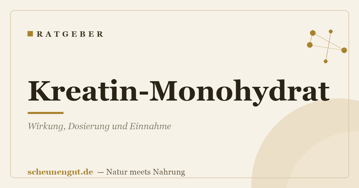 Kreatin-Monohydrat: Wirkung, Dosierung und Einnahme
