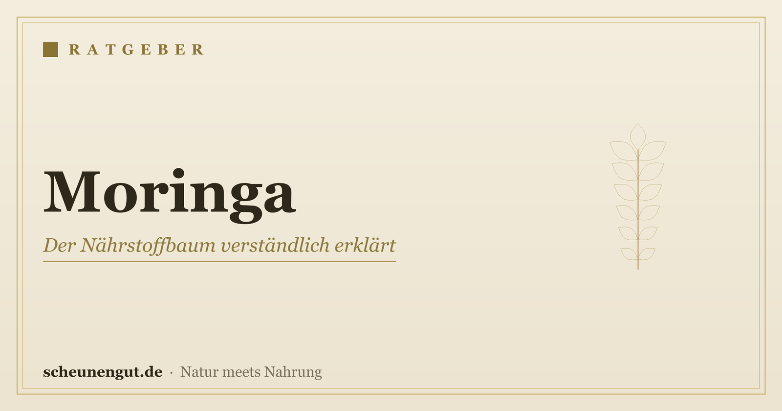 Moringa – Ratgeber von Scheunengut