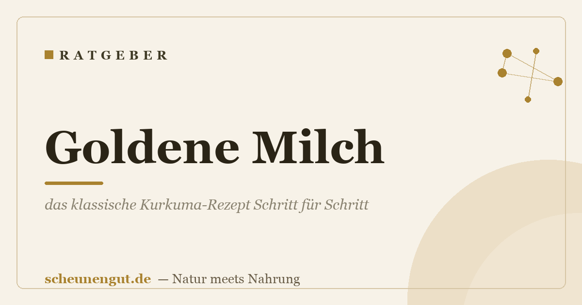 Goldene Milch: das klassische Kurkuma-Rezept Schritt für Schritt