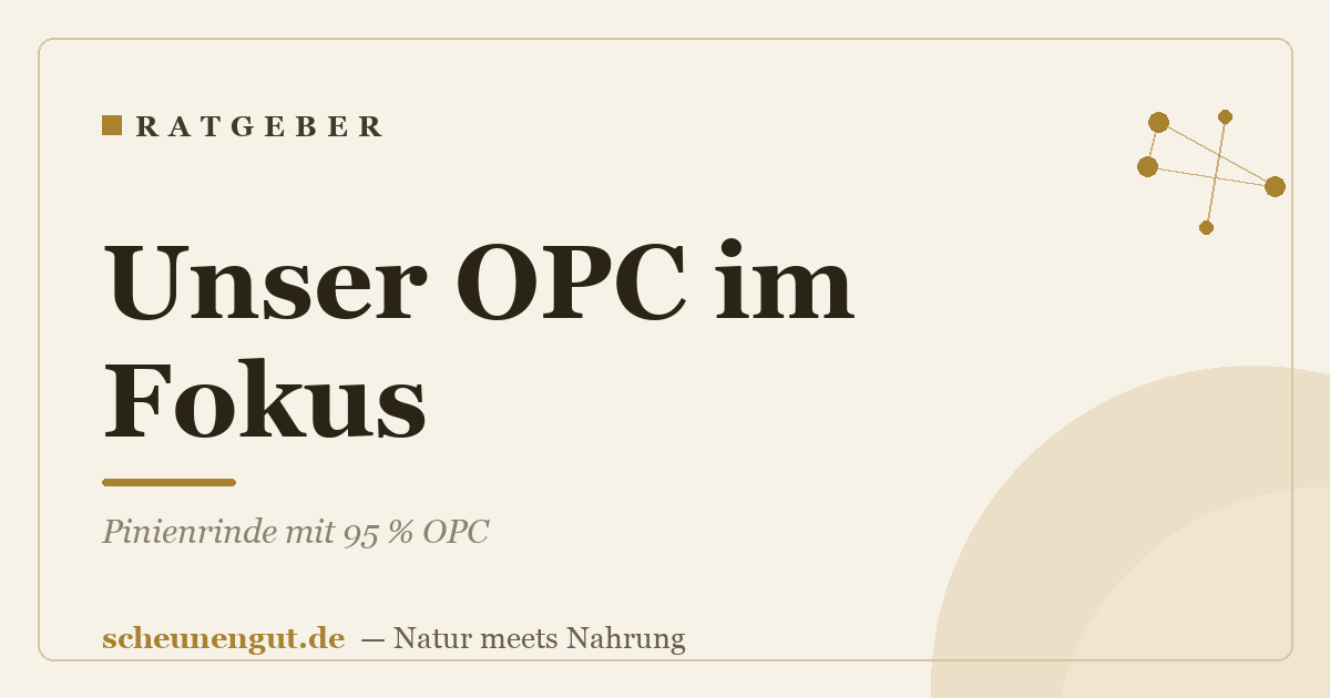 Unser OPC im Fokus: Pinienrinde mit 95 % OPC