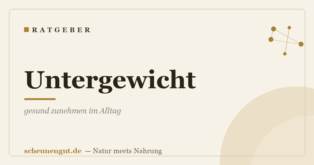 Untergewicht: gesund zunehmen im Alltag
