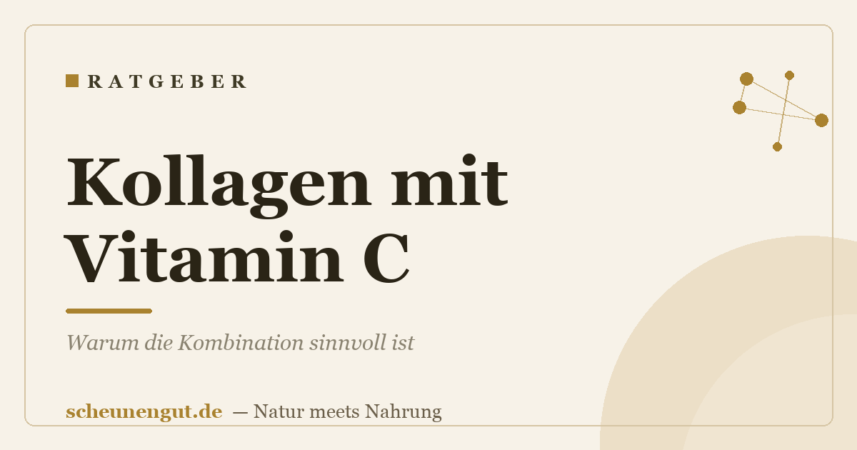 Kollagen mit Vitamin C: Warum die Kombination sinnvoll ist