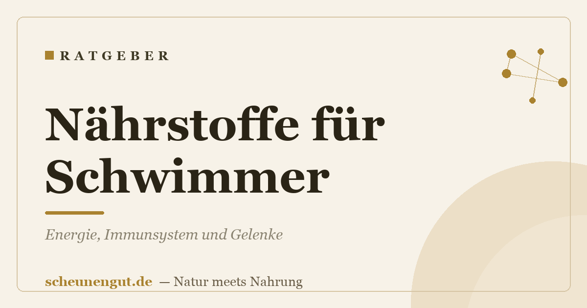 Nährstoffe für Schwimmer: Energie, Immunsystem und Gelenke