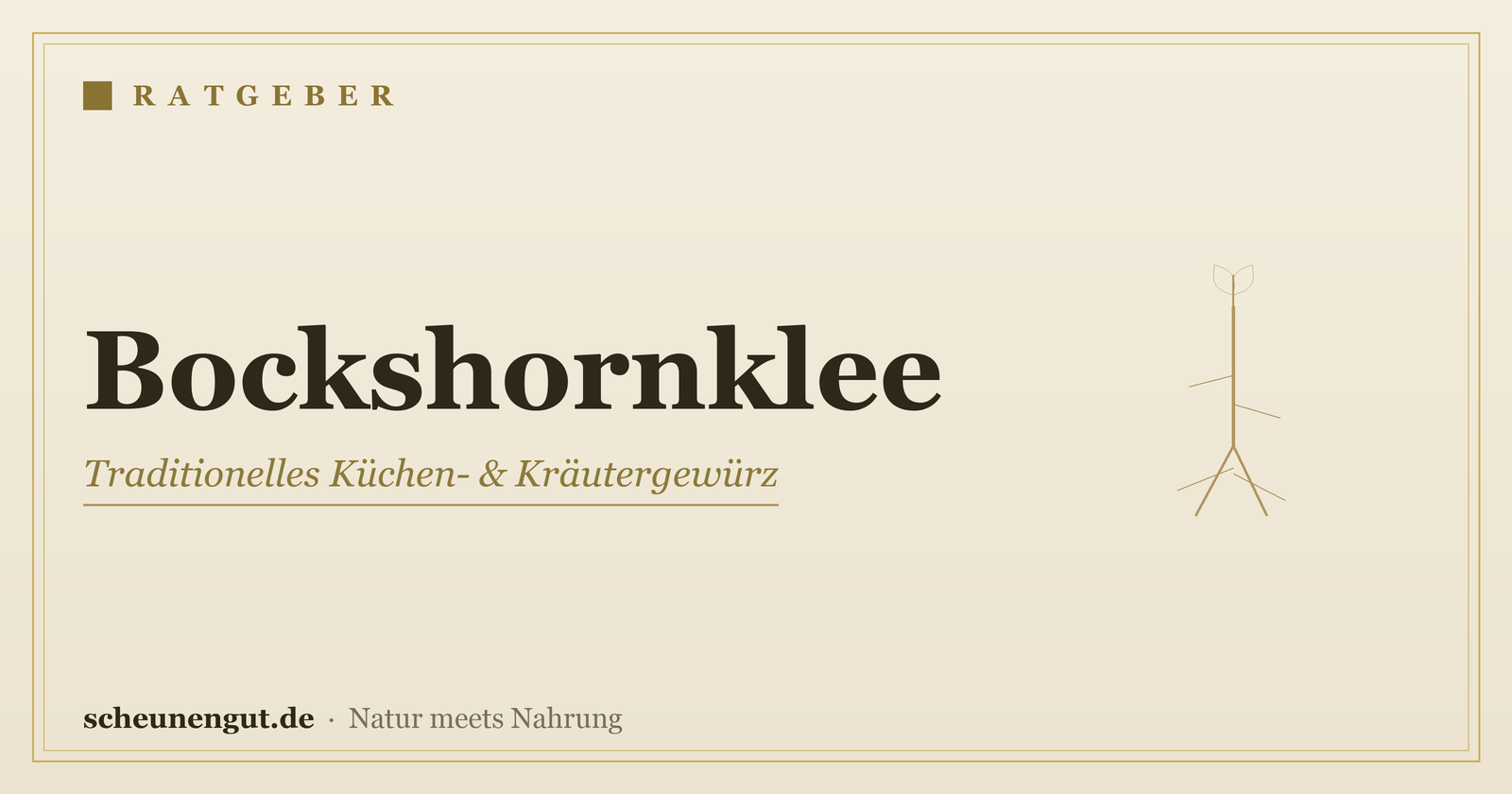 Bockshornklee: Wirkung & Anwendung – Ratgeber von Scheunengut
