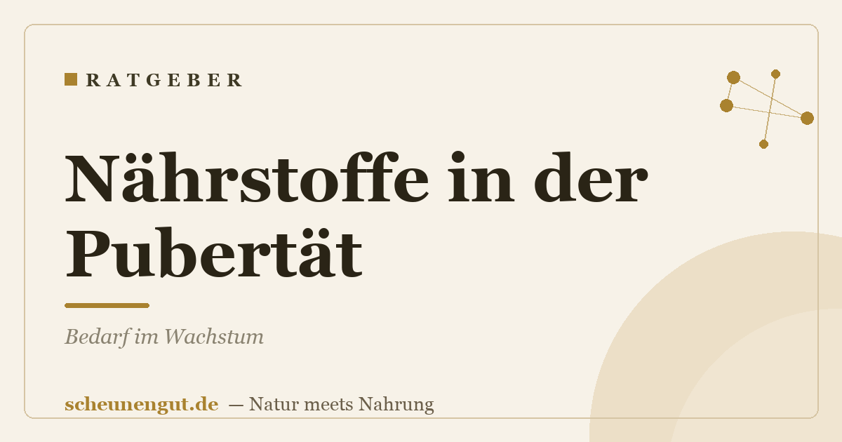 Nährstoffe in der Pubertät: Bedarf im Wachstum