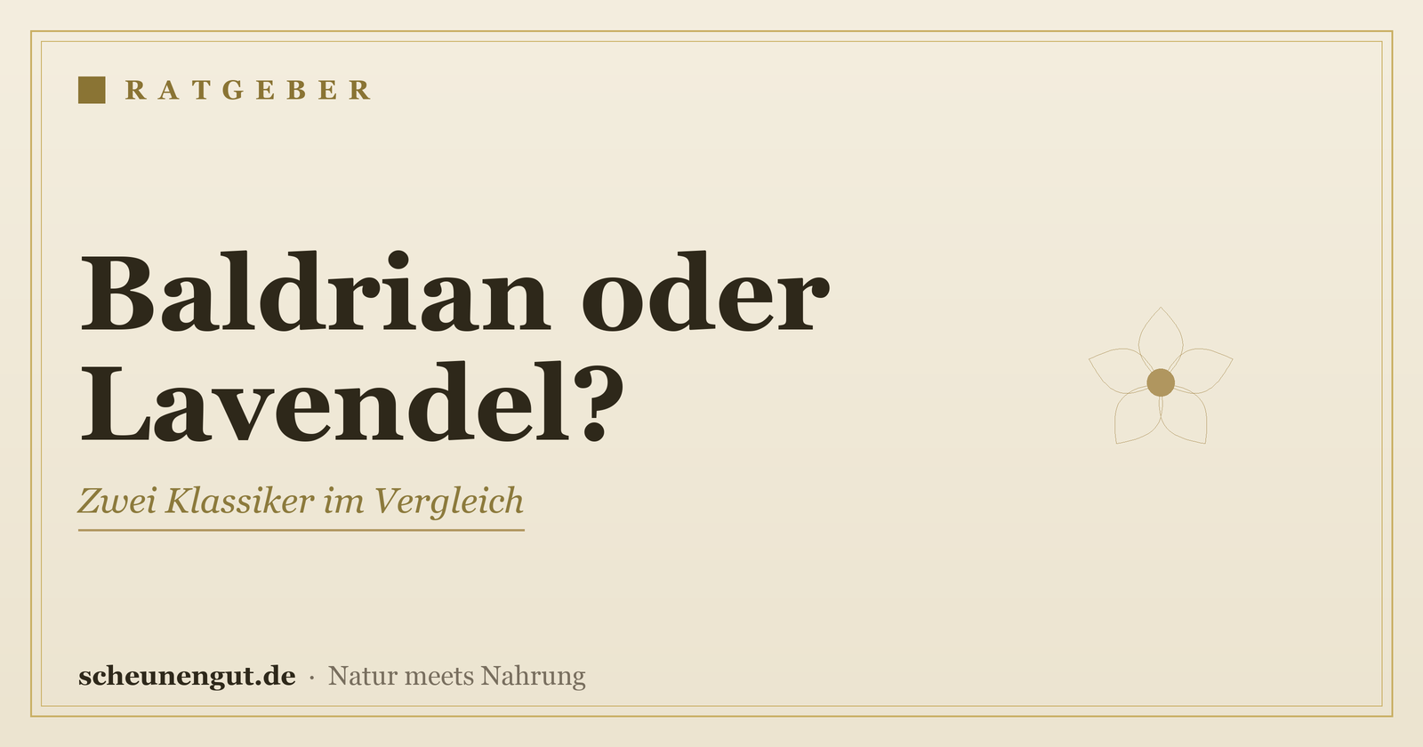 Baldrian oder Lavendel? Zwei Klassiker im Vergleich – Ratgeber von Scheunengut