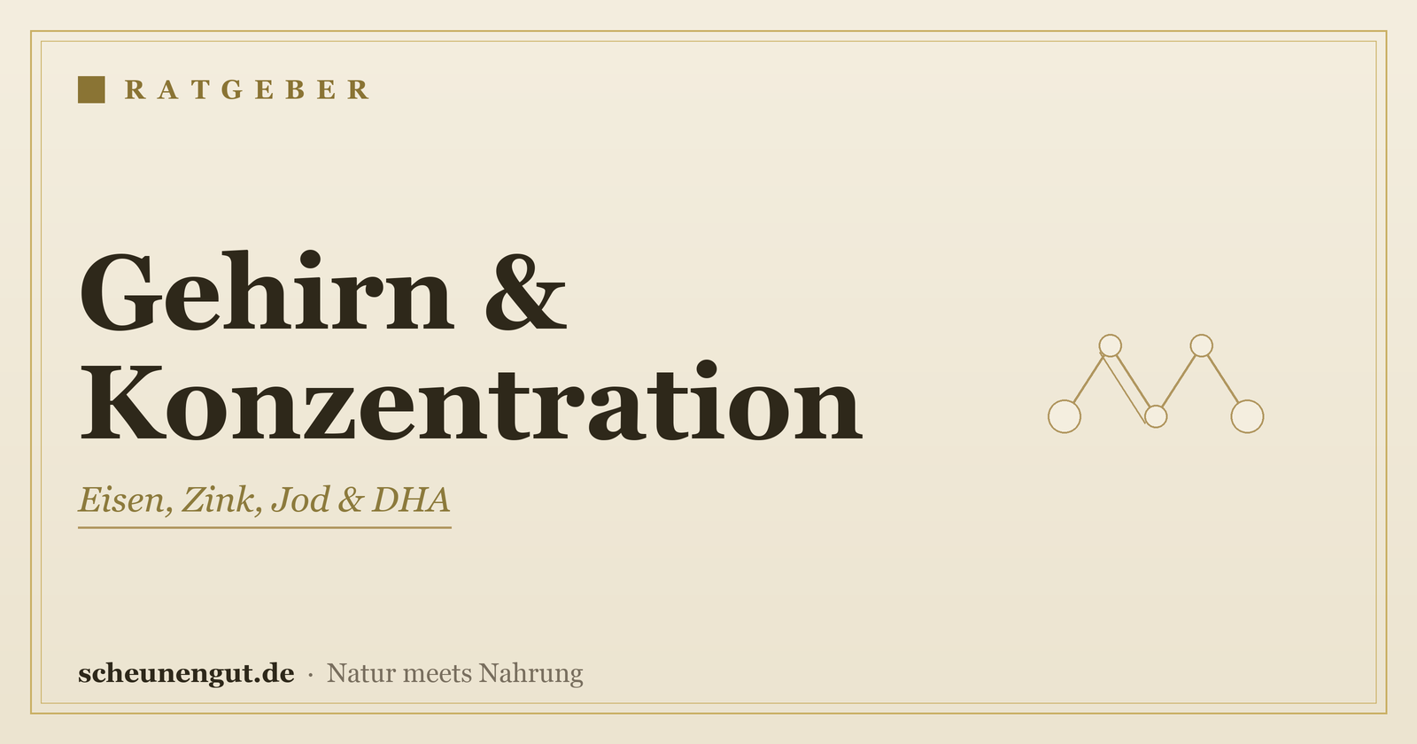 Nährstoffe für Gehirn & Konzentration – Ratgeber von Scheunengut