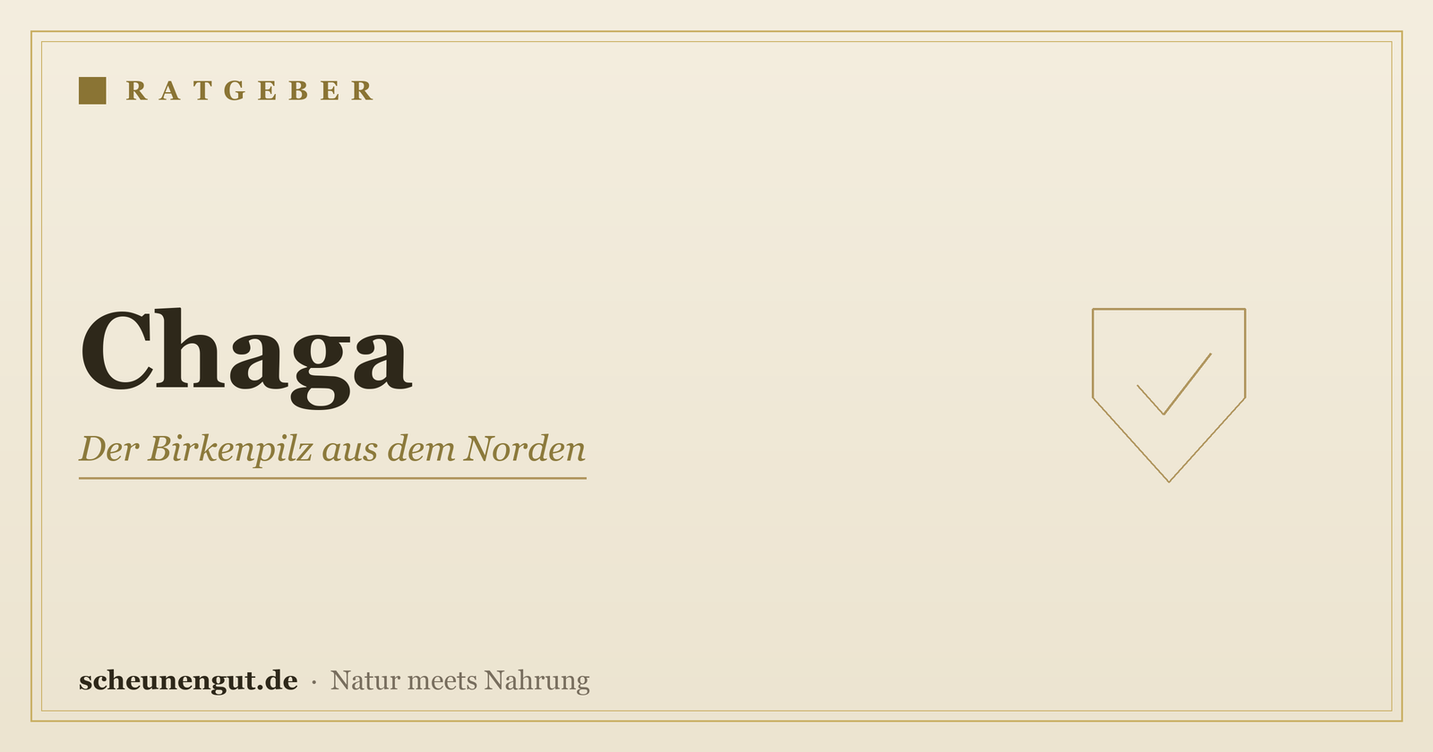 Chaga: der Antioxidans-Pilz – Ratgeber von Scheunengut