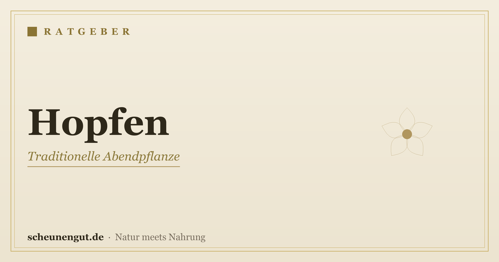 Hopfen: Beruhigung & Schlaf – Ratgeber von Scheunengut