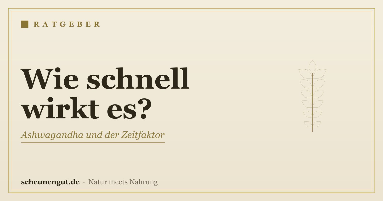 Wie schnell wirkt Ashwagandha? – Ratgeber von Scheunengut