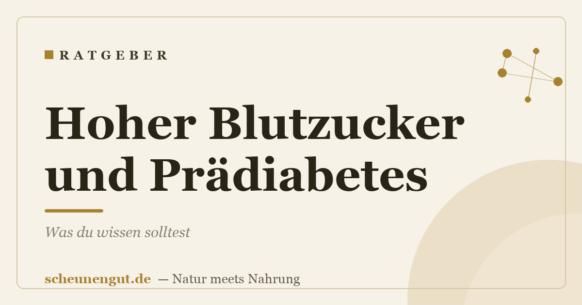 Hoher Blutzucker und Prädiabetes: Was du wissen solltest