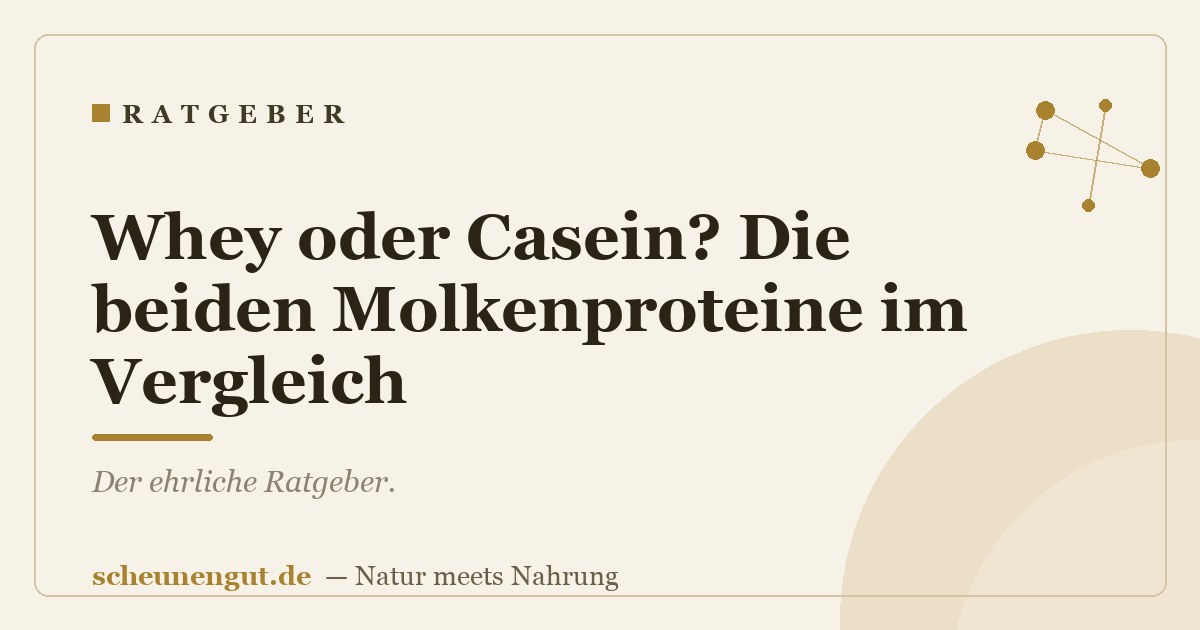 Whey oder Casein? Die beiden Molkenproteine im Vergleich