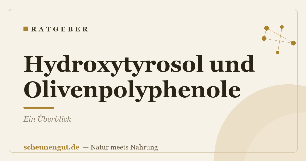 Hydroxytyrosol und Olivenpolyphenole: Ein Überblick