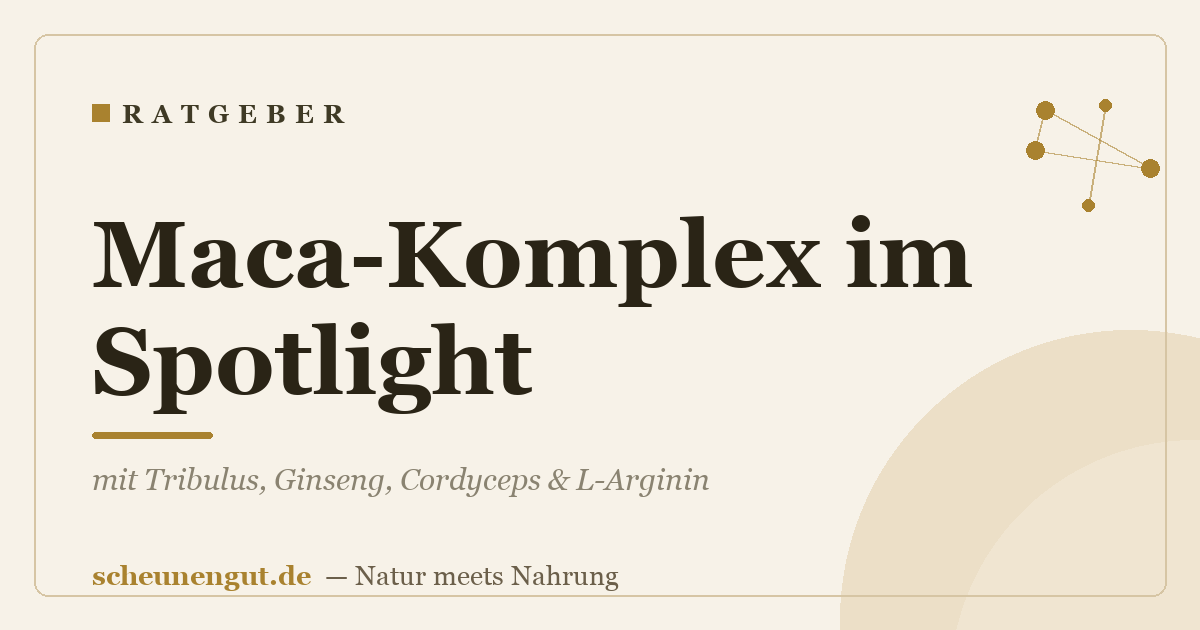 Maca-Komplex im Spotlight: mit Tribulus, Ginseng, Cordyceps & L-Arginin