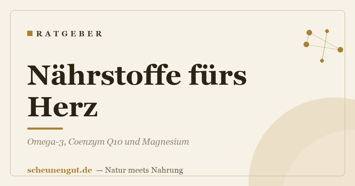 Nährstoffe fürs Herz: Omega-3, Coenzym Q10 und Magnesium