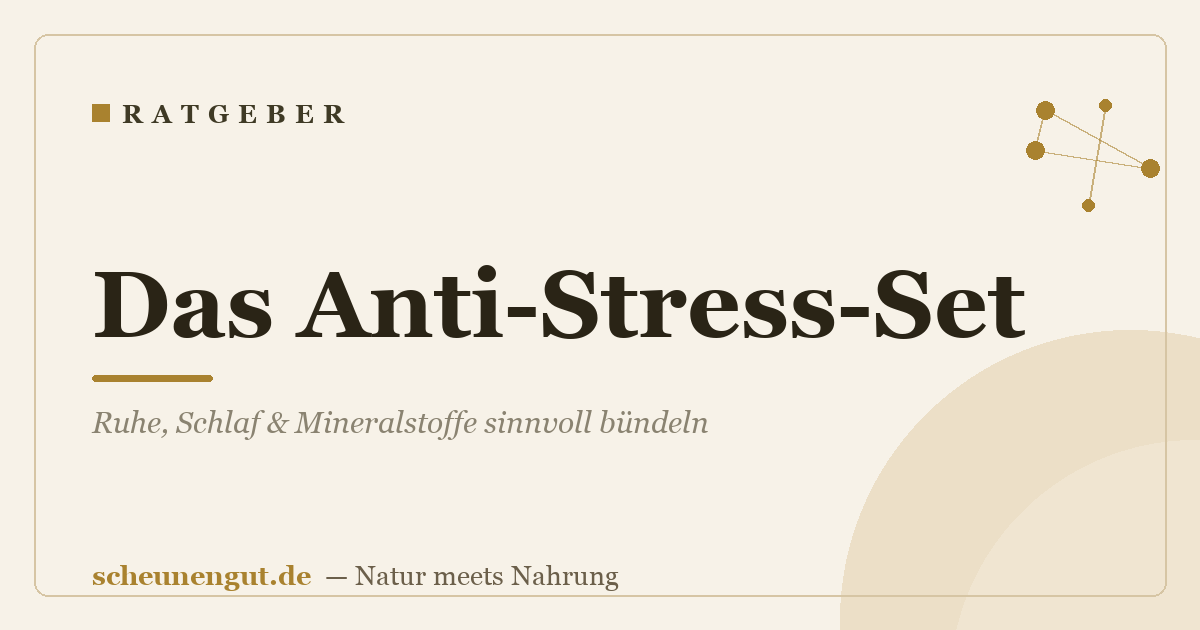 Das Anti-Stress-Set: Ruhe, Schlaf & Mineralstoffe sinnvoll bündeln