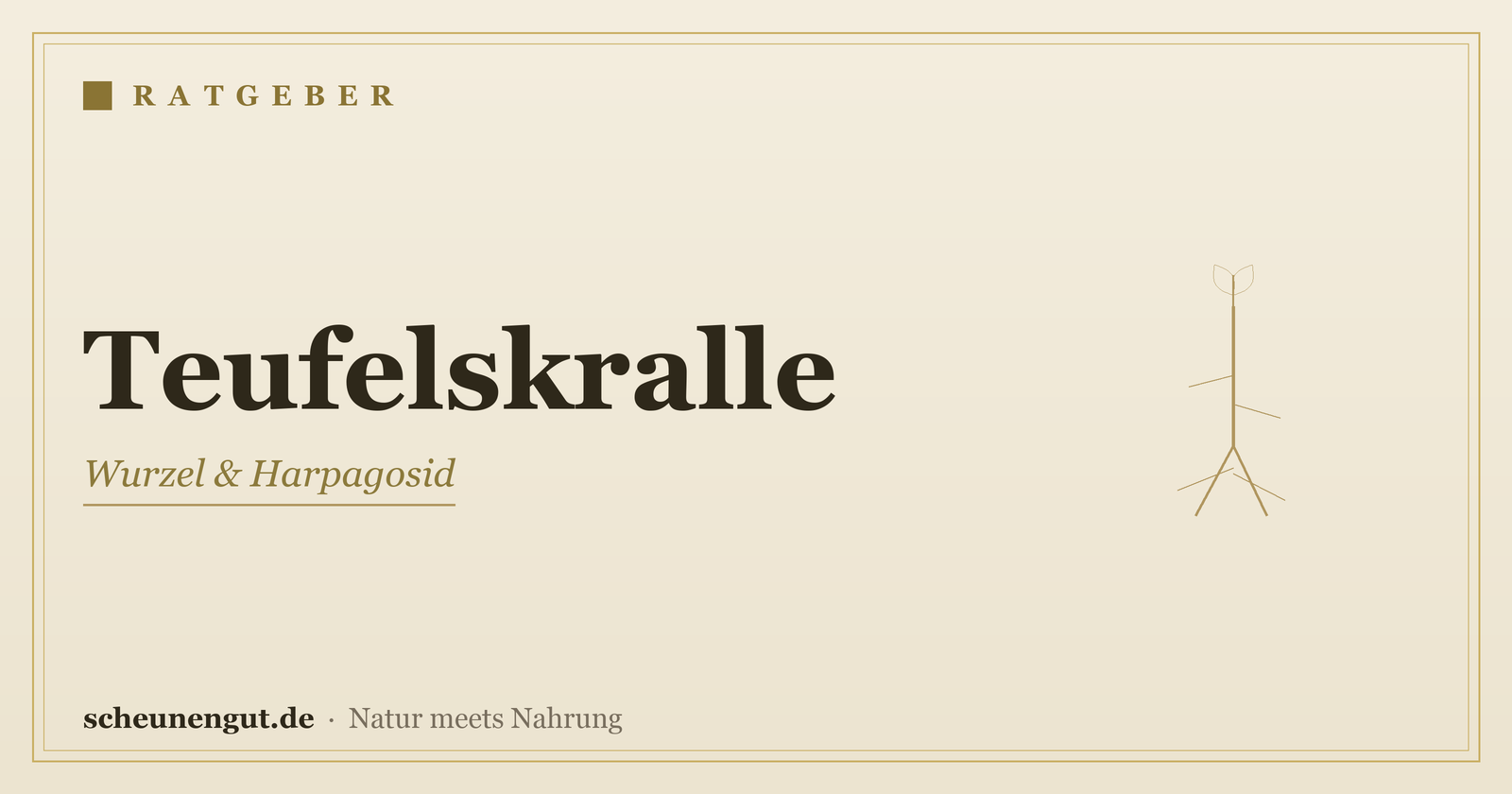 Teufelskralle: Die Wurzel neutral erklärt – Ratgeber von Scheunengut