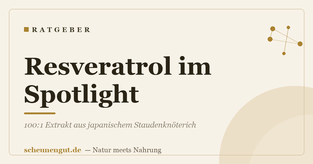 Resveratrol im Spotlight: 100:1 Extrakt aus japanischem Staudenknöterich
