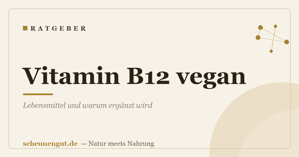 Vitamin B12 vegan: Lebensmittel und warum ergänzt wird