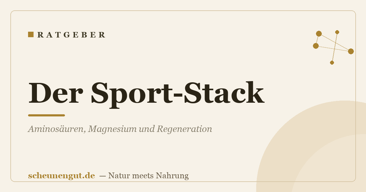 Der Sport-Stack: Aminosäuren, Magnesium und Regeneration