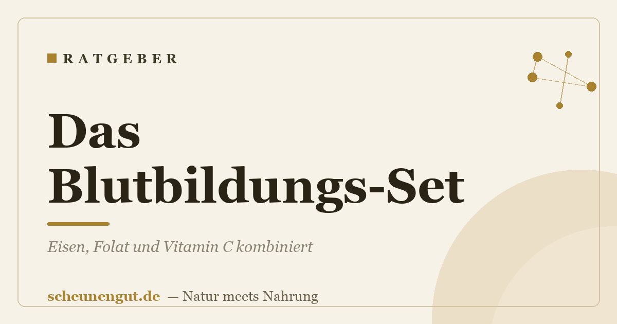 Das Blutbildungs-Set: Eisen, Folat und Vitamin C kombiniert