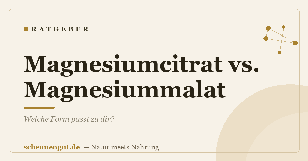 Magnesiumcitrat vs. Magnesiummalat: Welche Form passt zu dir?