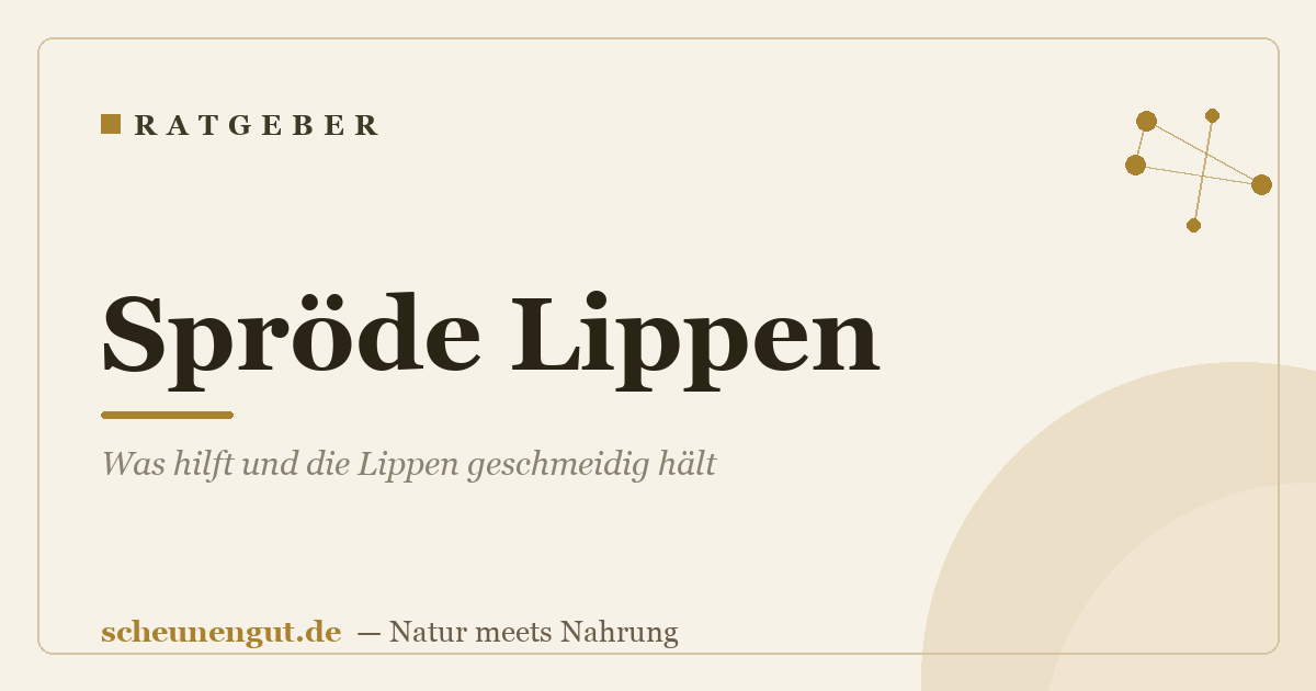 Spröde Lippen: Was hilft und die Lippen geschmeidig hält