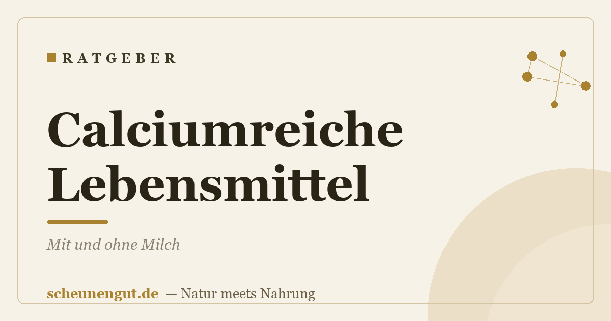 Calciumreiche Lebensmittel: Mit und ohne Milch