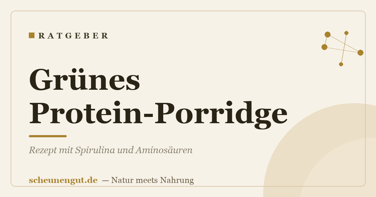 Grünes Protein-Porridge: Rezept mit Spirulina und Aminosäuren