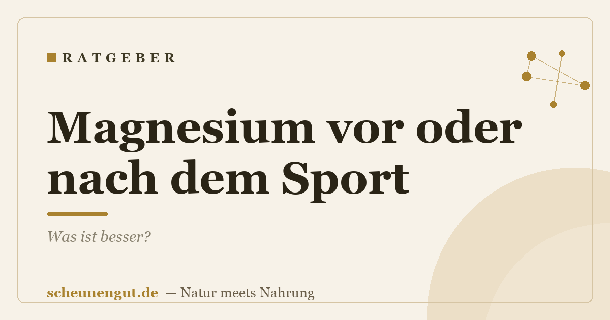 Magnesium vor oder nach dem Sport: Was ist besser?