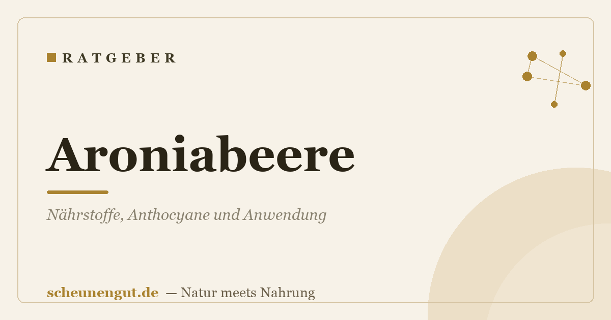 Aroniabeere: Nährstoffe, Anthocyane und Anwendung