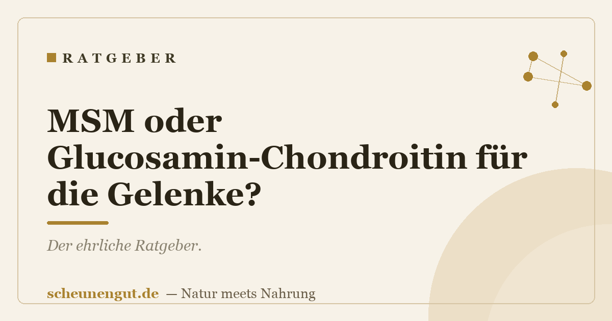 MSM oder Glucosamin-Chondroitin für die Gelenke?