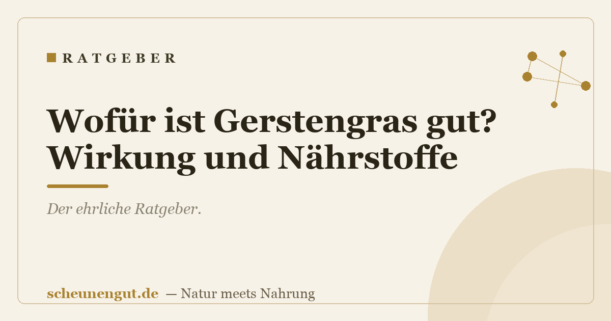 Wofür ist Gerstengras gut? Wirkung und Nährstoffe