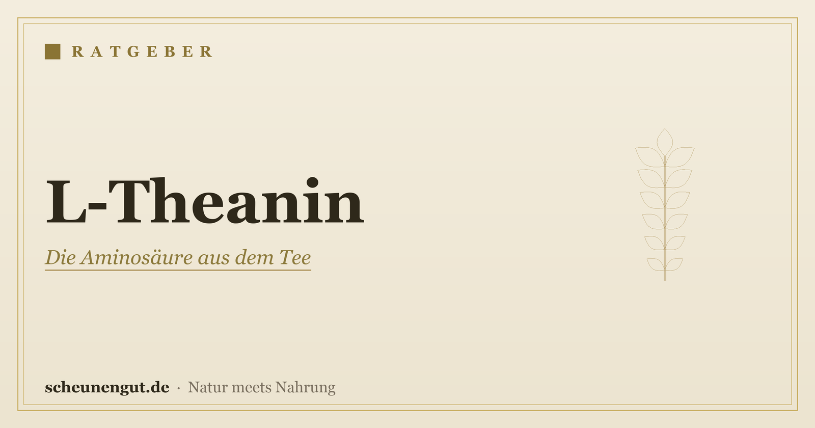 L-Theanin: Herkunft, Formen & Einnahme – Ratgeber von Scheunengut