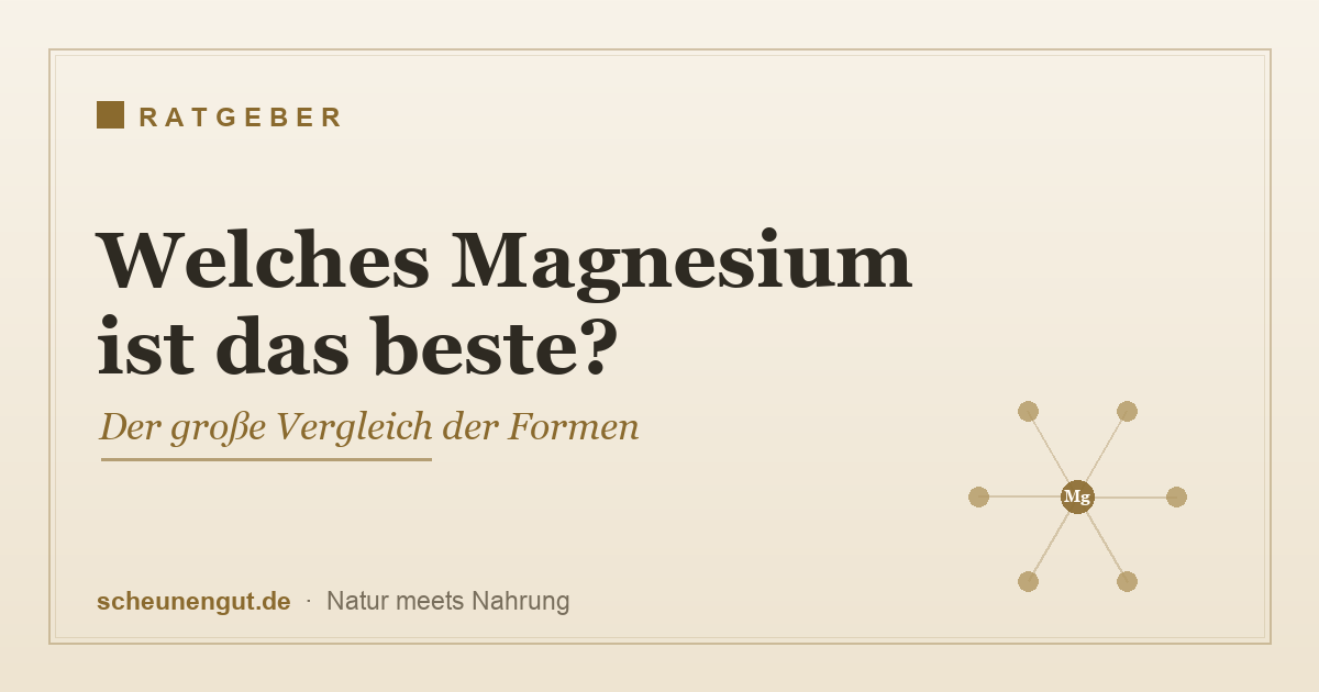 Welches Magnesium ist das beste – Vergleich der Magnesium-Formen Bisglycinat, Citrat, Malat und Oxid