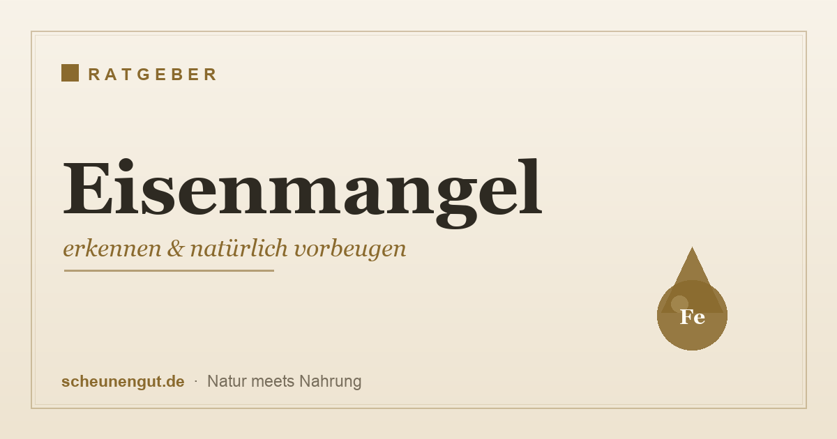 Eisenmangel erkennen und natürlich vorbeugen – Ratgeber