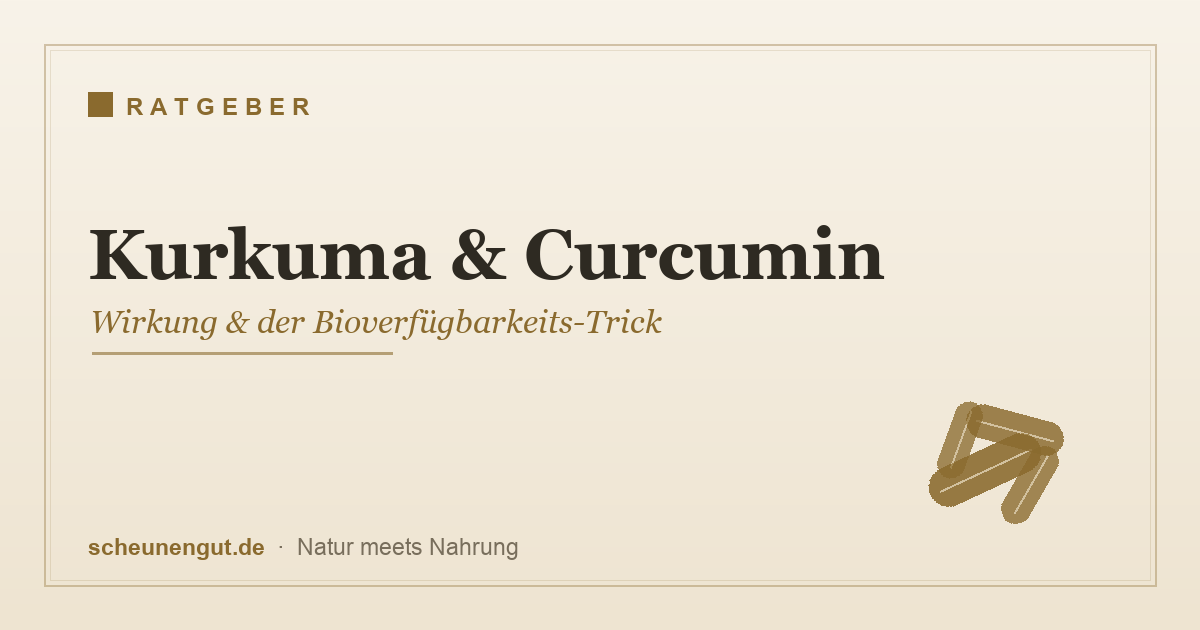 Kurkuma & Curcumin – Wirkung und der Trick mit der Bioverfügbarkeit