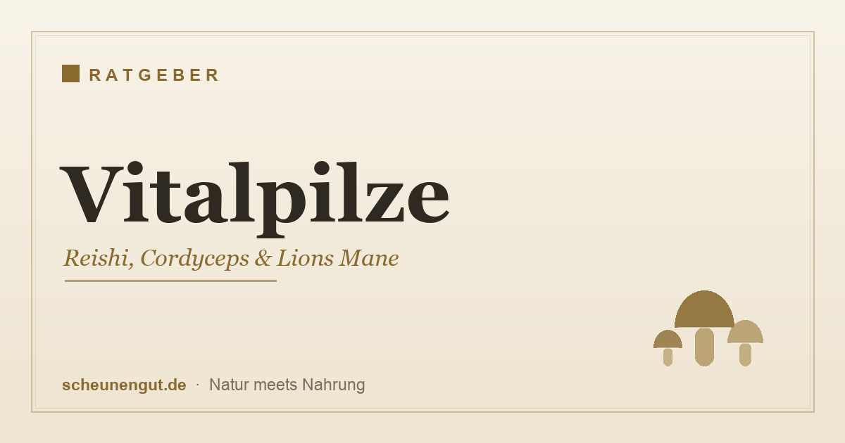 Vitalpilze – Reishi, Cordyceps und Lions Mane im Überblick
