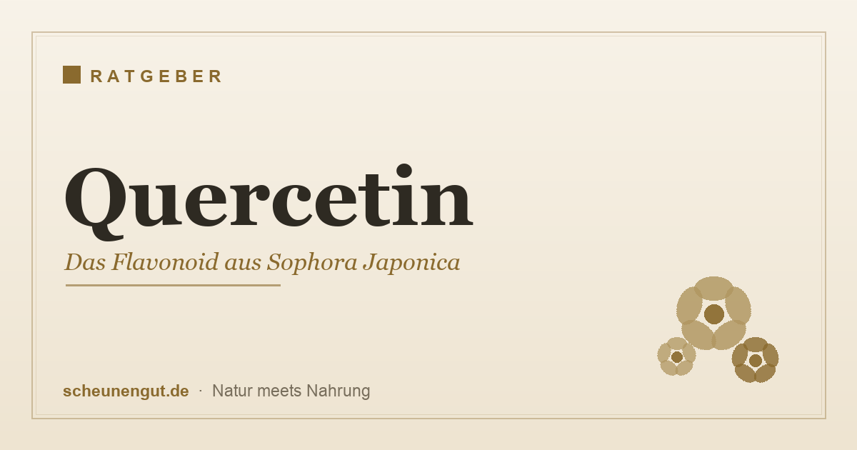 Quercetin – das Flavonoid aus Sophora Japonica
